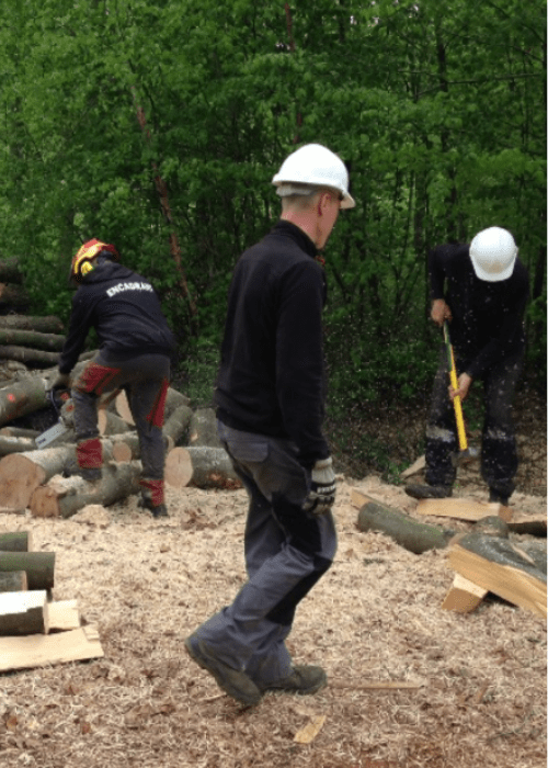 Activités Forestières Association Mahra le Toit
